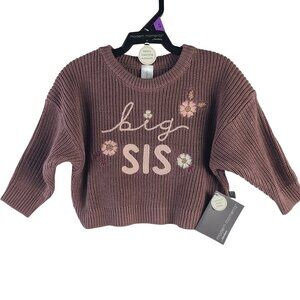 NWT Modern Moments By Gerber Big Sis Knit Sweater Sz12M Mauve Floral Embroidery